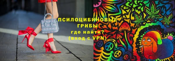 молекула духа Алексин
