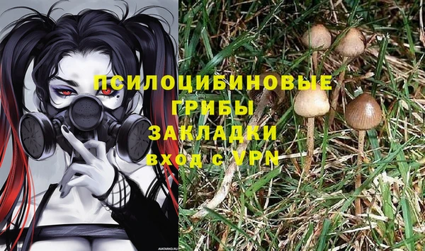 молекула духа Алексин