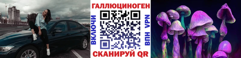 Галлюциногенные грибы Psilocybe  Краснознаменск 
