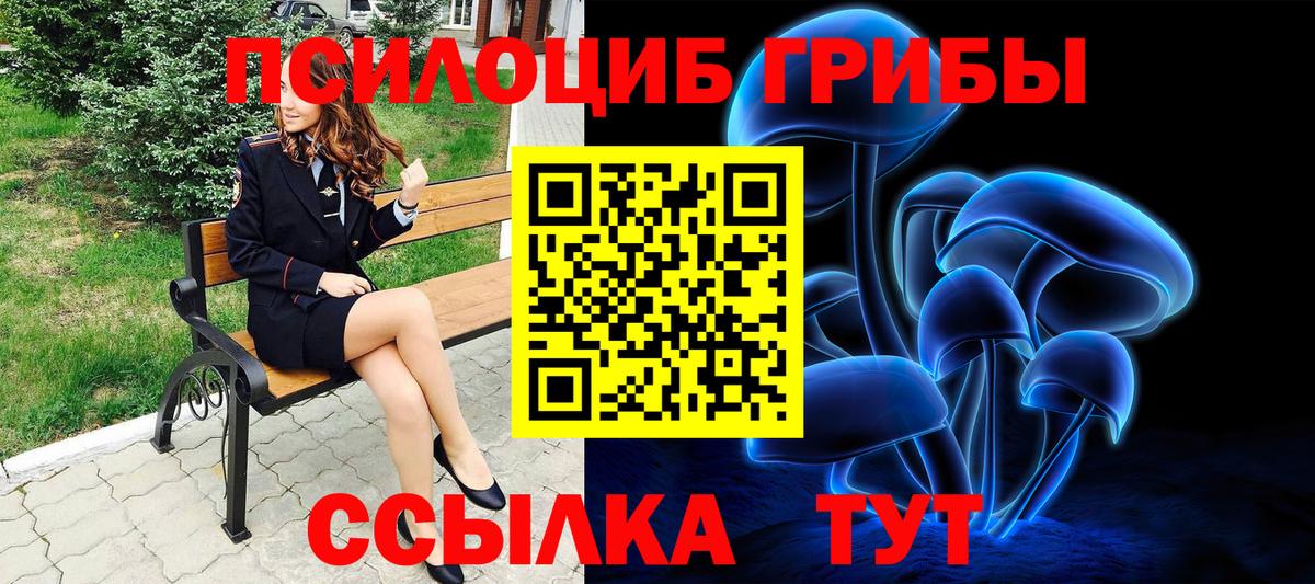 Псилоцибиновые грибы Psilocybine cubensis Краснознаменск