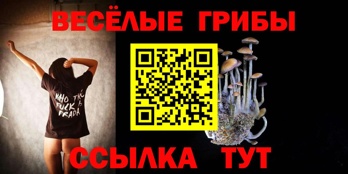 Галлюциногенные грибы прущие грибы  Вход с VPN  Краснознаменск 